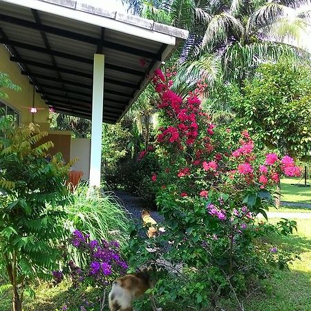 Aathid Garden Khao Lakヴィラ エクステリア 写真